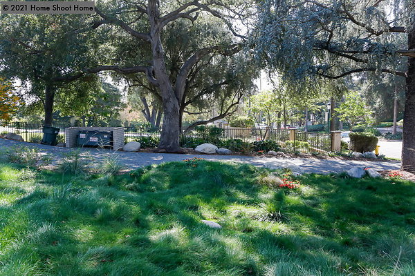 116front-lawn-side-view