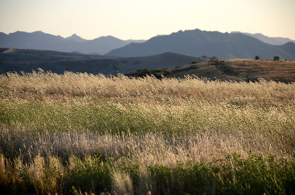 Upper Las Virgenes Open Space