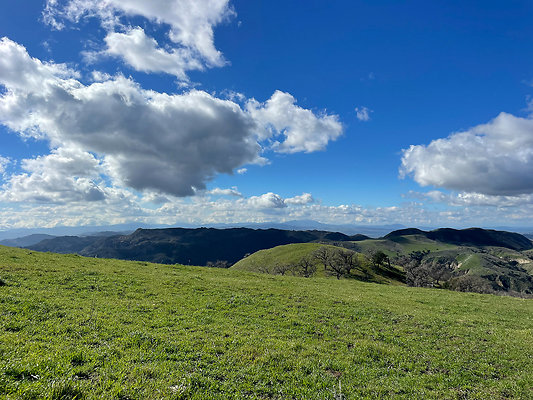 Joughin Ranch - Lone Oak